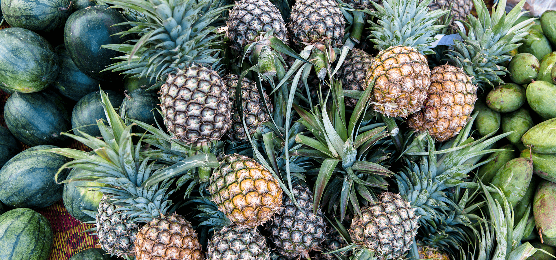 152a-US-nutrition-1920x900-banner-1